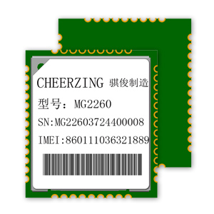 Cheerzing_MG2260.jpg