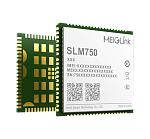 SLM750-VE (750VE71S) MeiG Smart