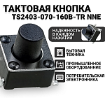 TS2403-070-160B-TR NNE