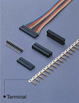 T1002-GPN00000R Hsuan Mao