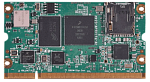 iW-G34M-SM04-4L001G-E008G-BIC iWave